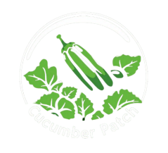 cropped cucumber removebg preview.png