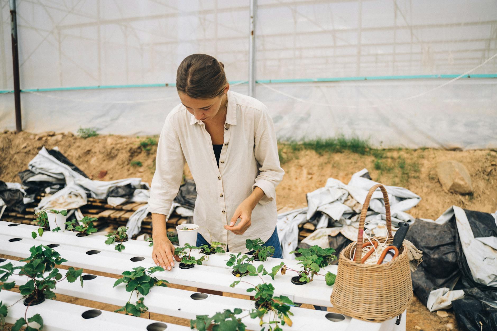 A woman carefully tends to hydroponic plants inside a greenhouse, promoting sustainable farming.